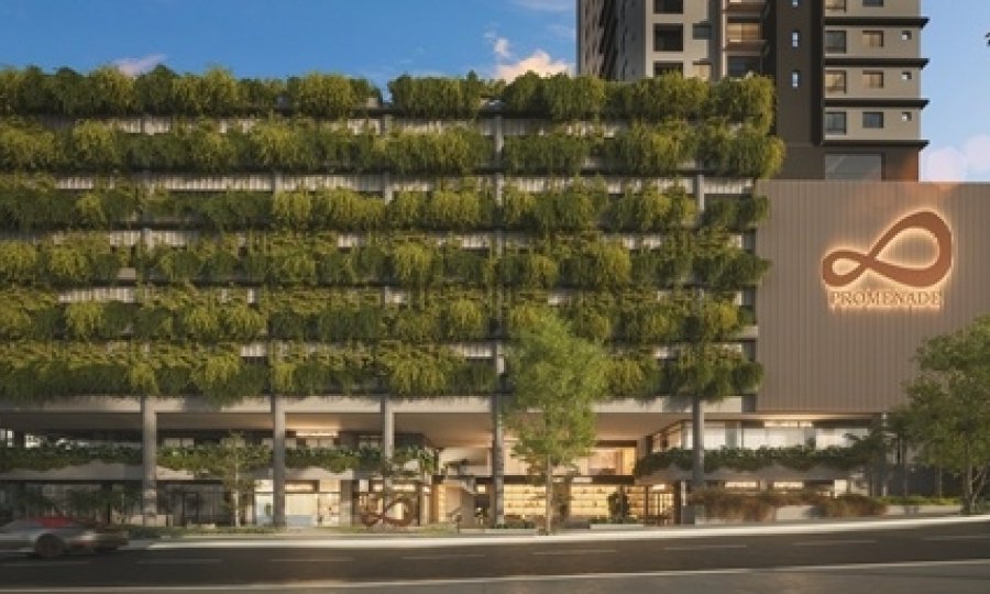 Goiânia terá seu maior jardim vertical com mais de 20 metros de altura