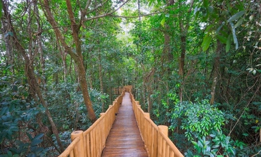 Condomínios têm ruas verdes e perfumadas o ano todo, em Goiânia