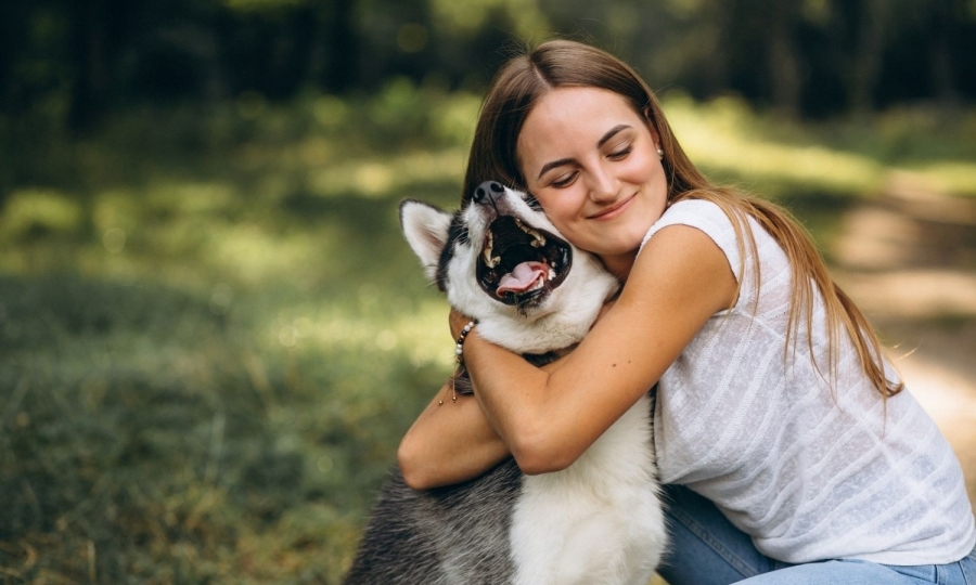 Evento gratuito para pets reúne feira de adoção e bate-papo com especialista neste sábado (5)