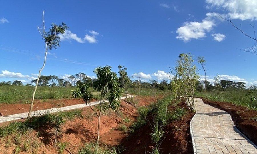 Entenda por que os swales podem melhorar as cidades