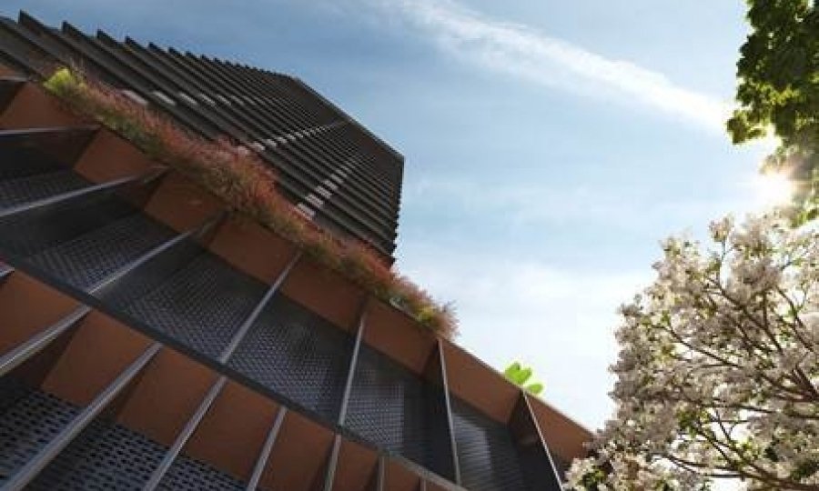 Mesmo consolidada, região da Ricardo Paranhos segue em expansão e atrai novos investimentos imobiliários